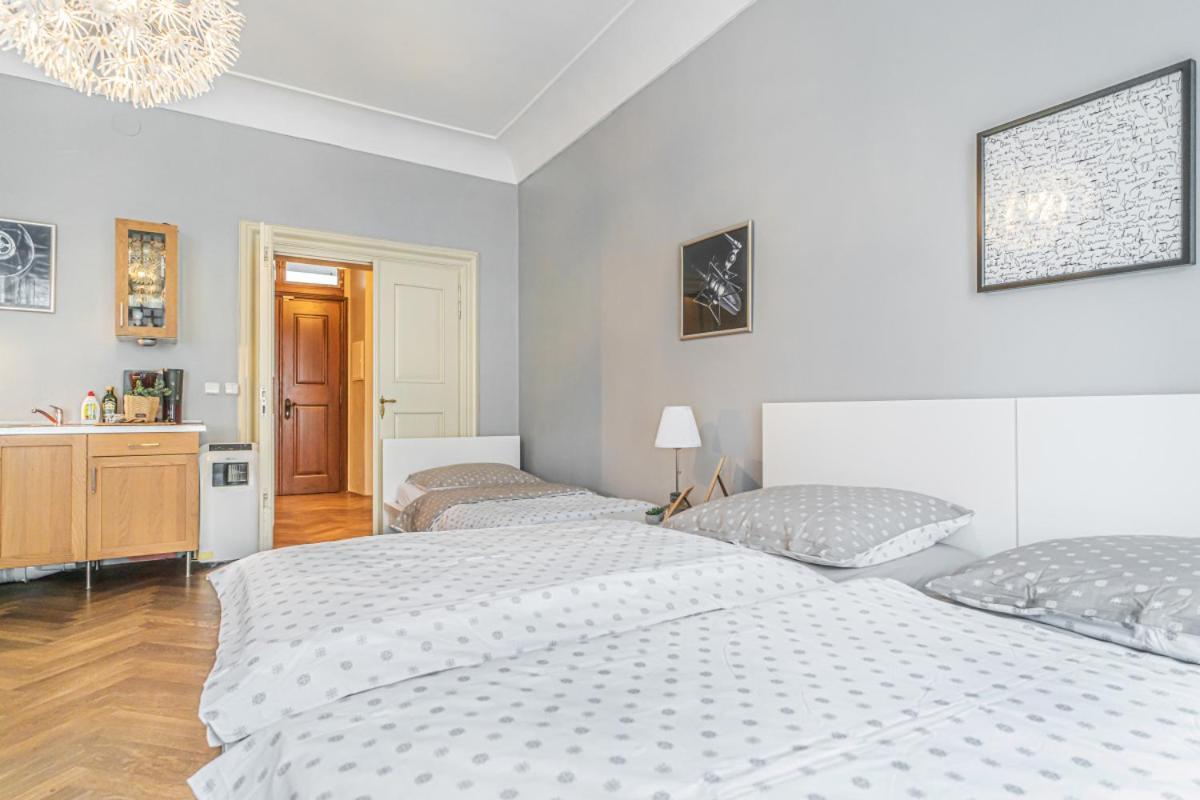 Bright Studio Close To Charles Bridge And Castle Appartement